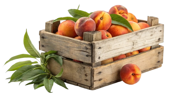peaches_in_crate-removebg-preview