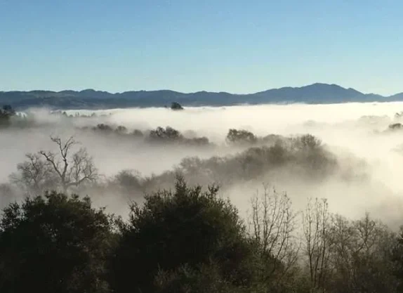 foggy-morning-e1727202803841